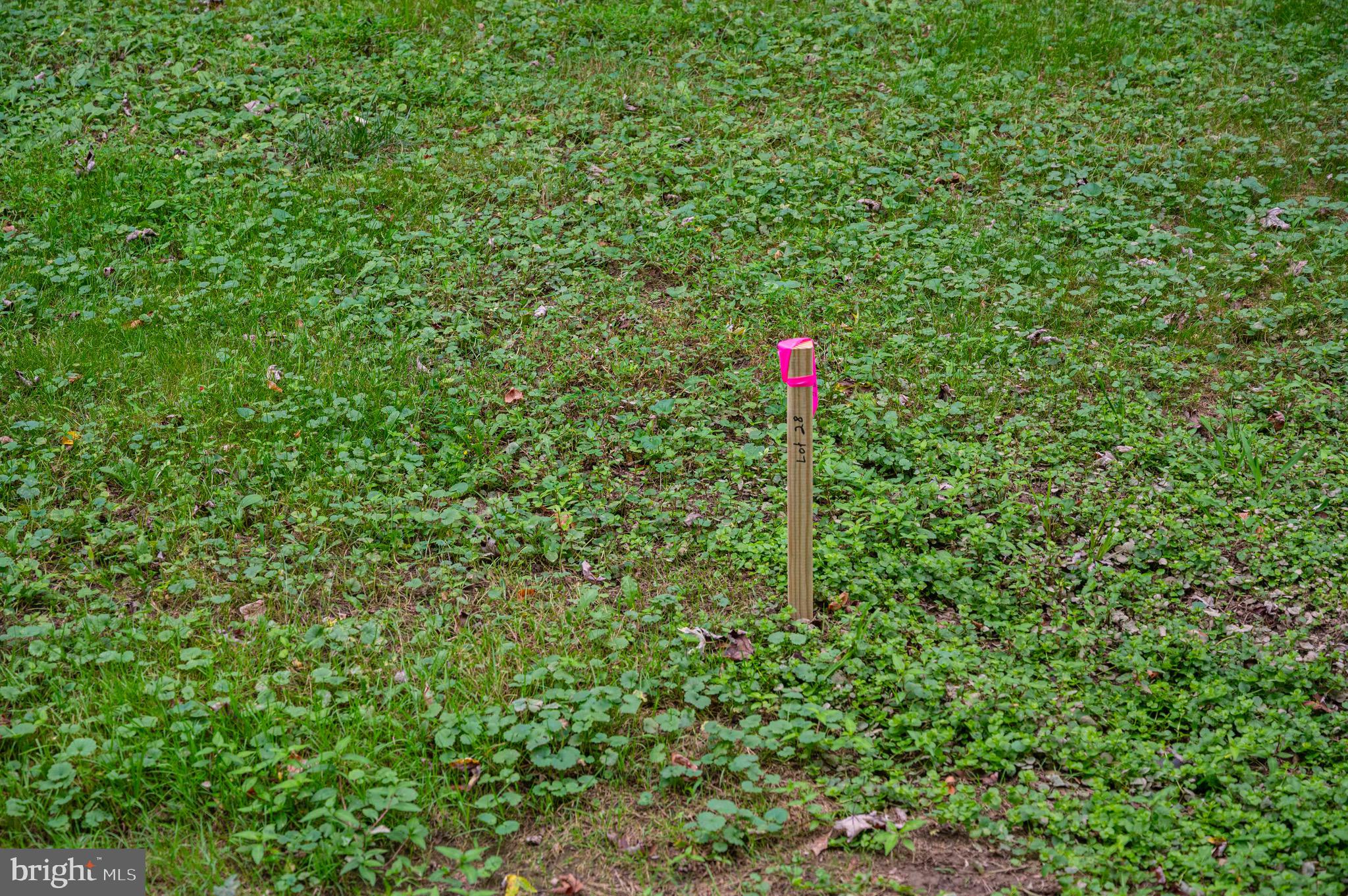 28 Burma Road Front Royal, VA 22630 - Photo 5 of 29 Gallery Image 5