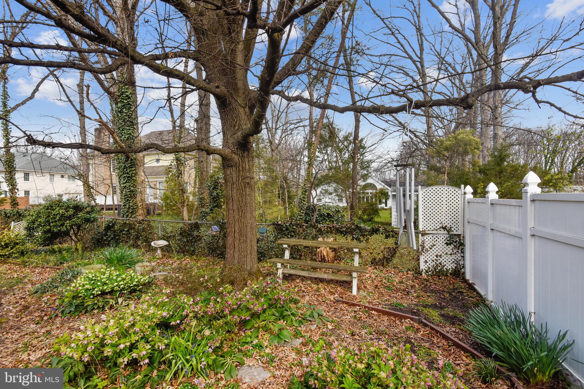 6807 Ben Franklin Road Springfield, VA 22150 - Photo 46 of 52 rear view
