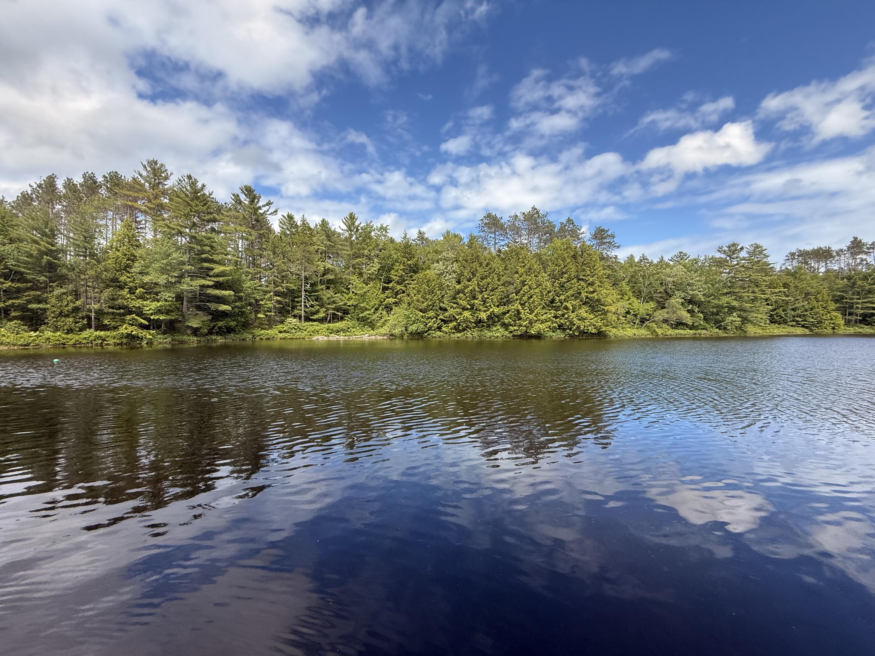 628 Springy Pond Road Ellsworth, ME 04605 - Photo 7 of 28