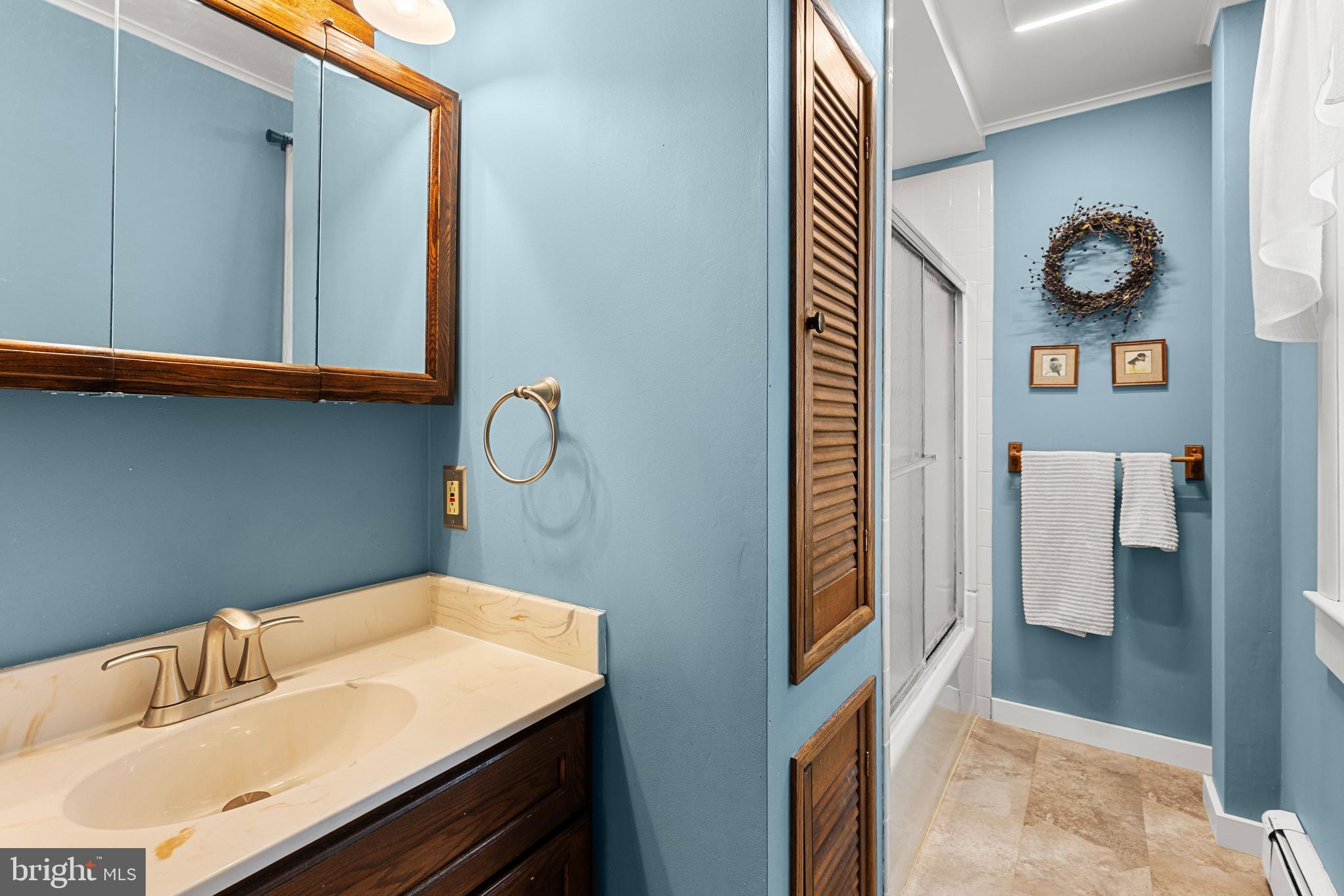 954 Anderson Ferry Road Mount Joy, PA 17552 - Photo 17 of 40 a bathroom with a sink and a mirror