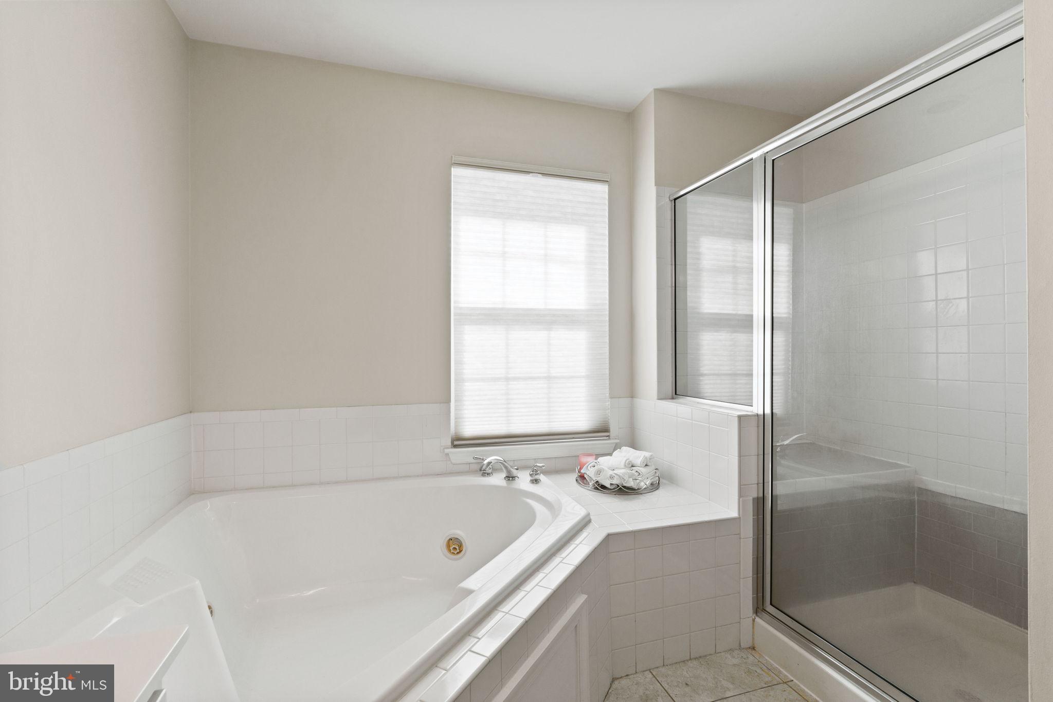 6149 Downs Ridge Court Elkridge, MD 21075 - Photo 17 of 47 Primary Bathroom