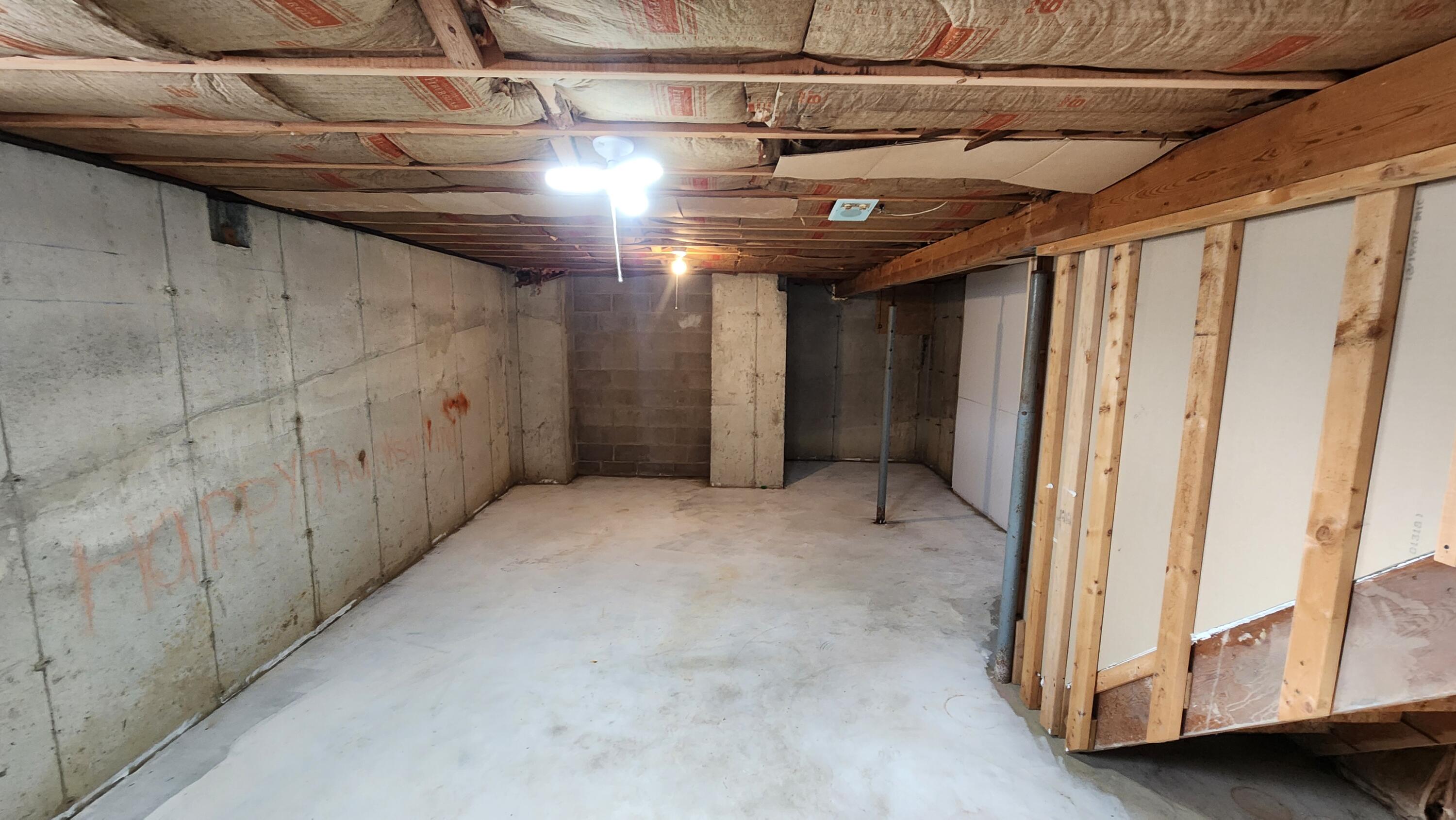646 East Copeland Road Coldwater, MI 49036 - Photo 14 of 17 Basement