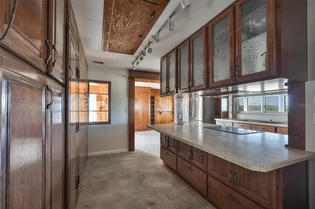 a view of dirt yard with a large tree