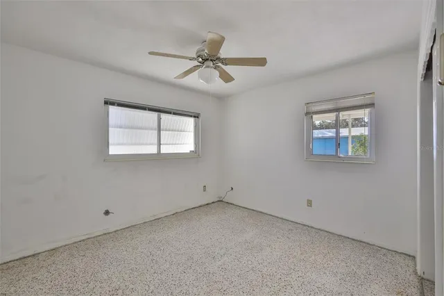 a view of a large yard with plants and large trees
