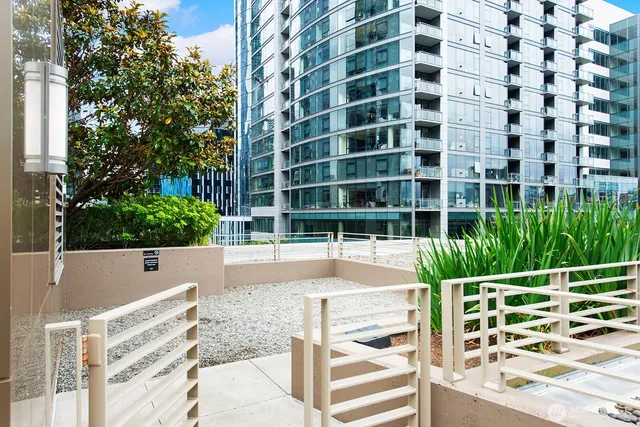 a view of a street with a tree