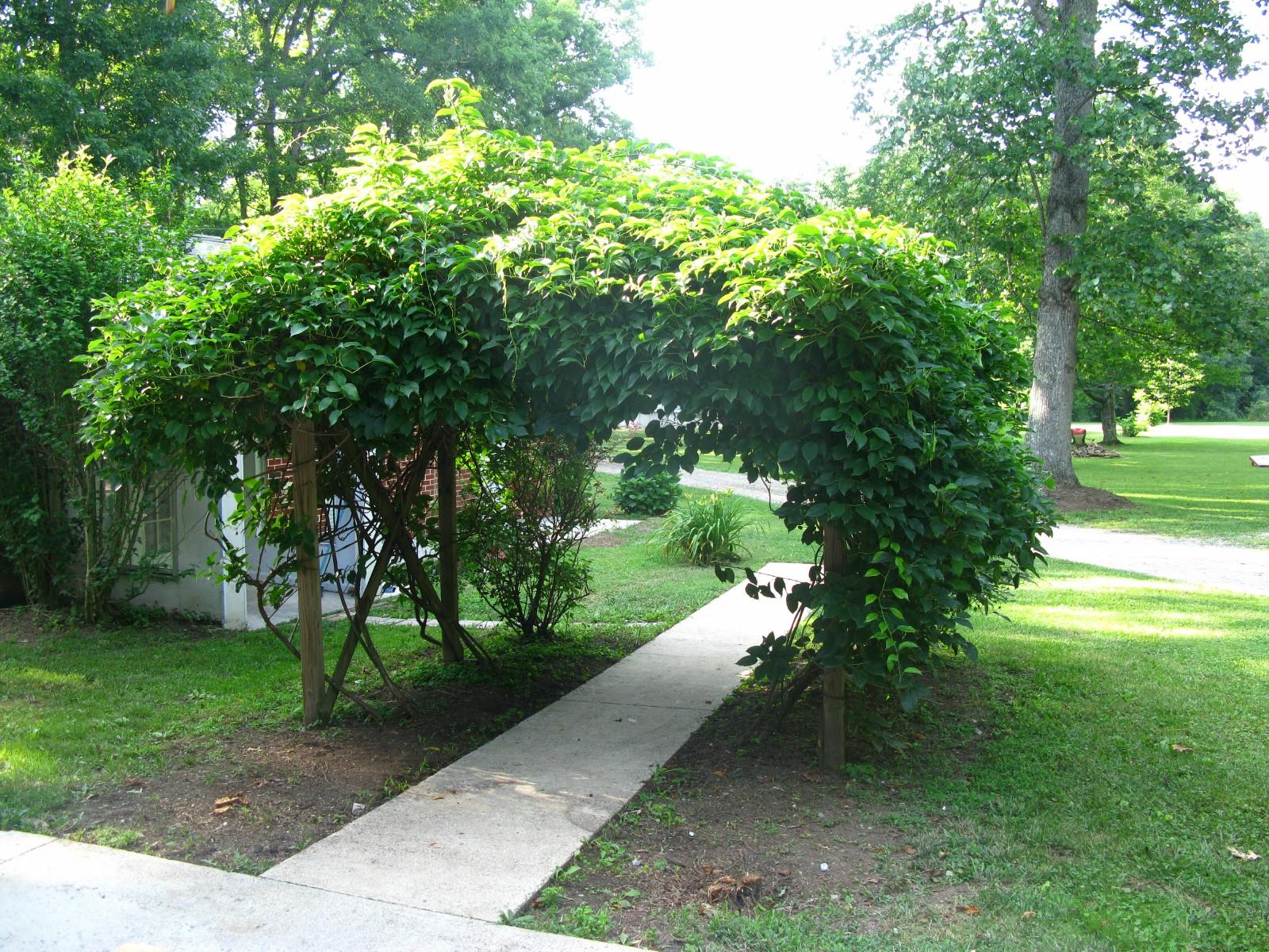 1750 W Creston Rd Home for Sale 06