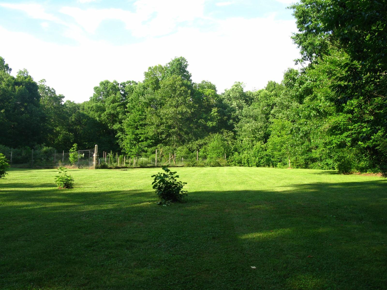 1750 West Creston Road Crossville, TN 38571 - Photo 8 of 40 1750 W Creston Rd Home for Sale 08