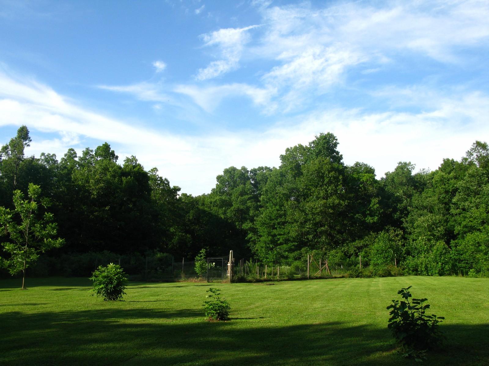 1750 West Creston Road Crossville, TN 38571 - Photo 9 of 40 1750 W Creston Rd Home for Sale 09