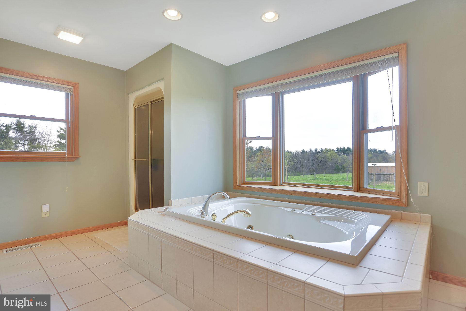 4940 Guitner Road Chambersburg, PA 17202 - Photo 31 of 48 Master bathroom