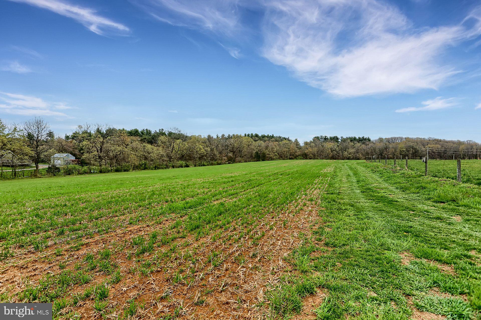 4940 Guitner Road Chambersburg, PA 17202 - Photo 41 of 48 Fields