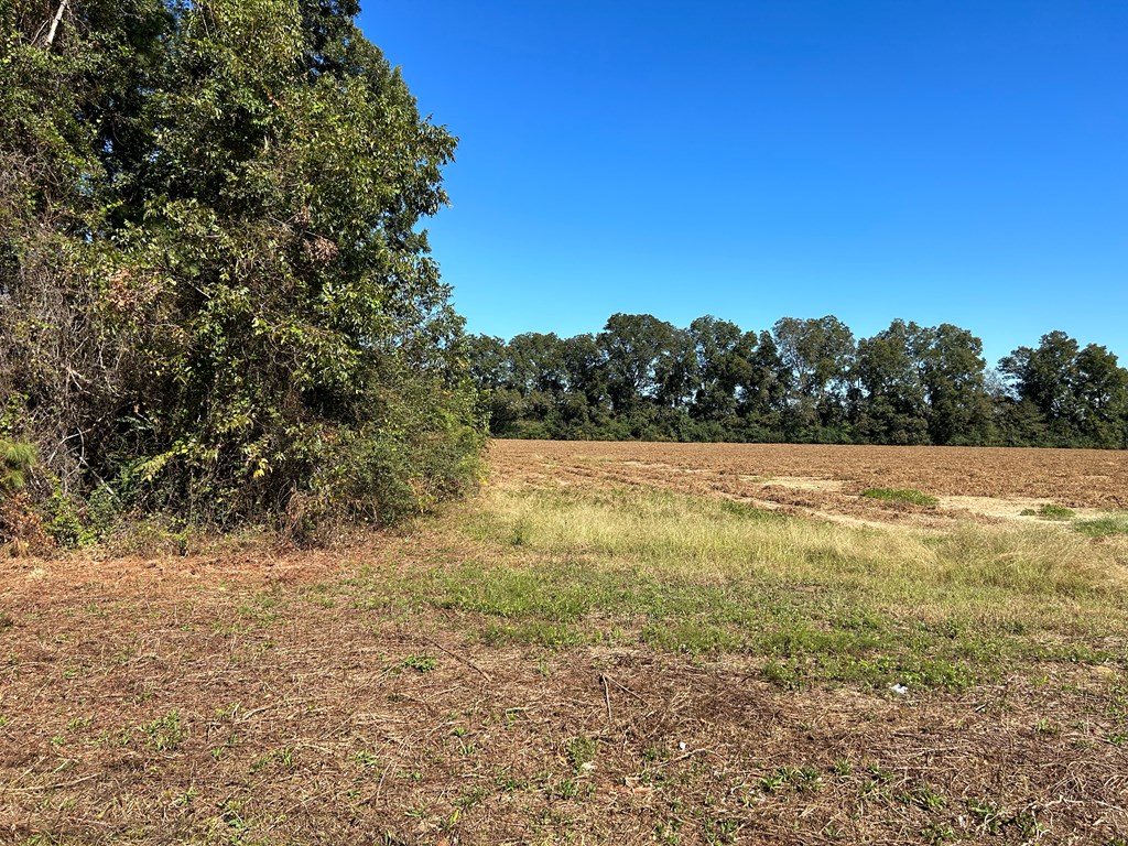 5.107-ac 5.107-ac Road Cottonwood, AL 36320 - Photo 2 of 19