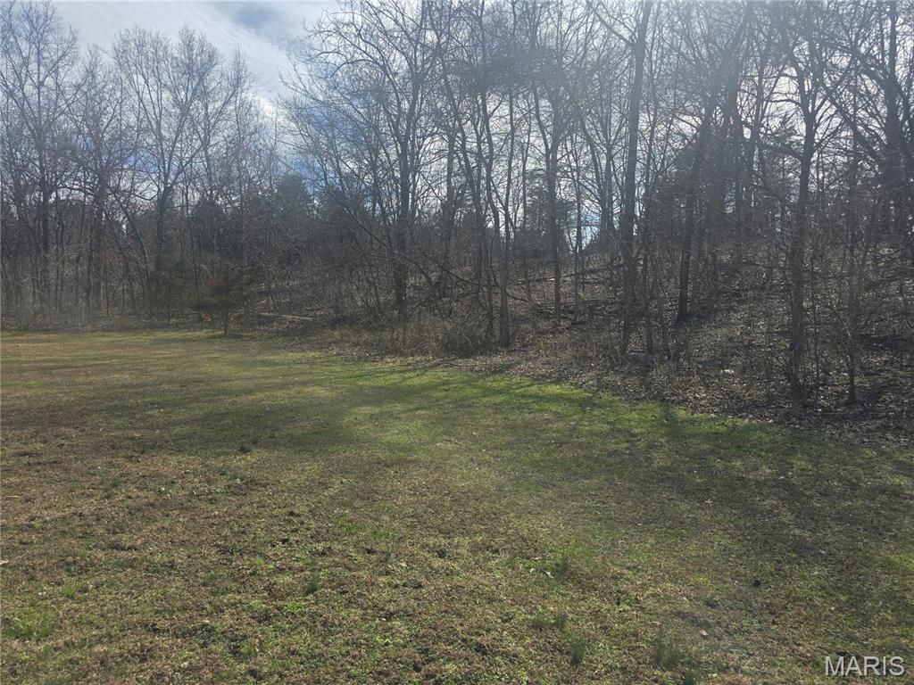 23672 Richland Road Waynesville, MO 65583 - Photo 32 of 59