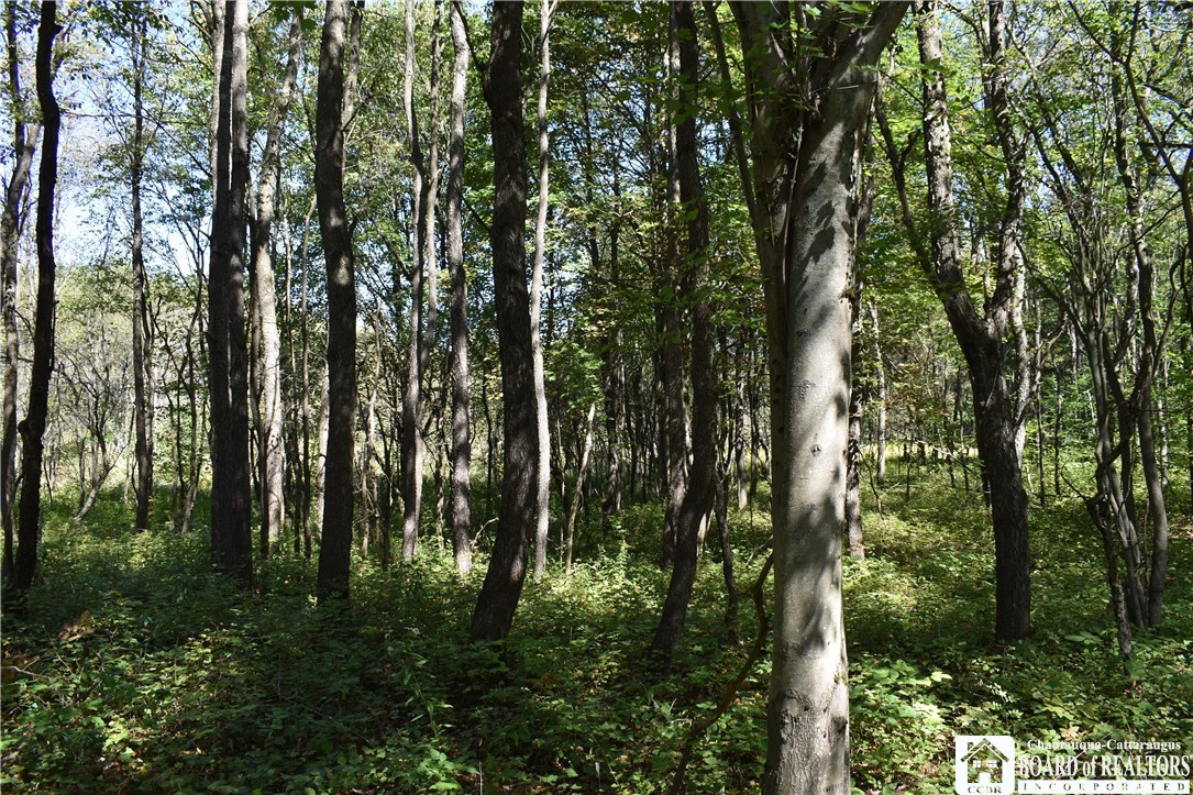 Round Top Road Forestville, NY 14062 - Photo 19 of 20 Gallery Image 19