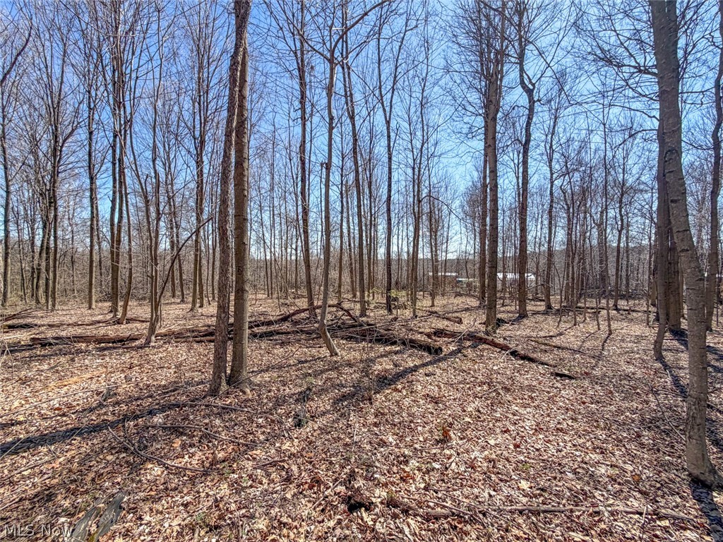 17970 Scott Road Mount Vernon, OH 43050 - Photo 13 of 35