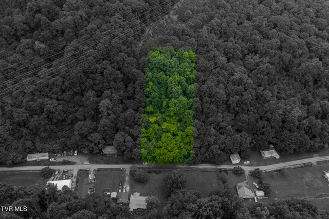 $17,000 | Tbd Canah Hollow Road, Erwin, TN 37650