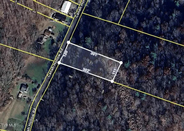 $17,000 | Tbd Canah Hollow Road, Erwin, TN 37650