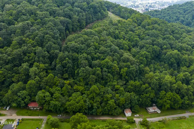 $17,000 | Tbd Canah Hollow Road, Erwin, TN 37650