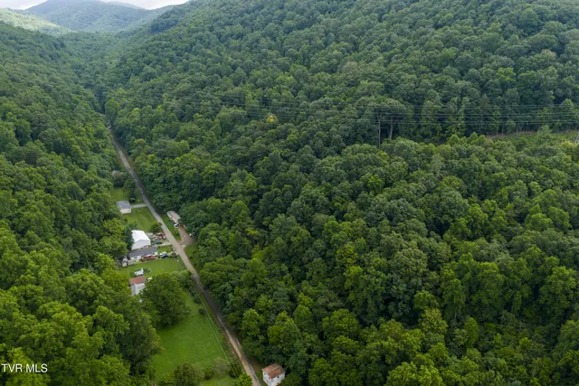 $17,000 | Tbd Canah Hollow Road, Erwin, TN 37650