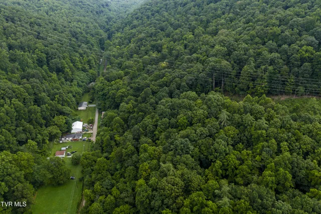 $17,000 | Tbd Canah Hollow Road, Erwin, TN 37650