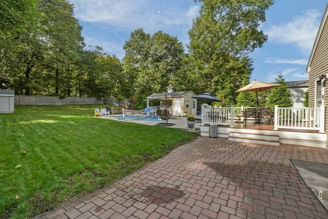 a view of a yard with plants and trees