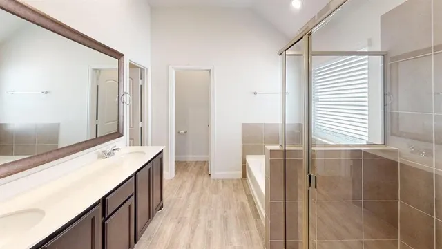 a bathroom with a sink a mirror and a shower