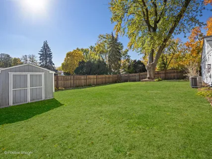 a view of yard with trees