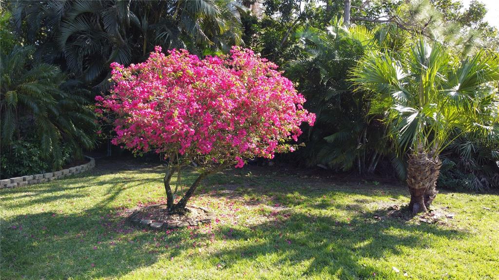 5778 Stringfellow Road St. James City, FL 33956 - Photo 17 of 90 Gallery Image 17
