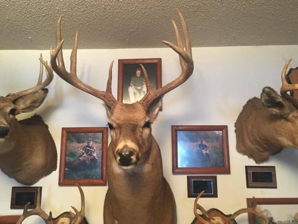 V/l Napoleon Road Jackson, MI 49261 - Photo 11 of 15