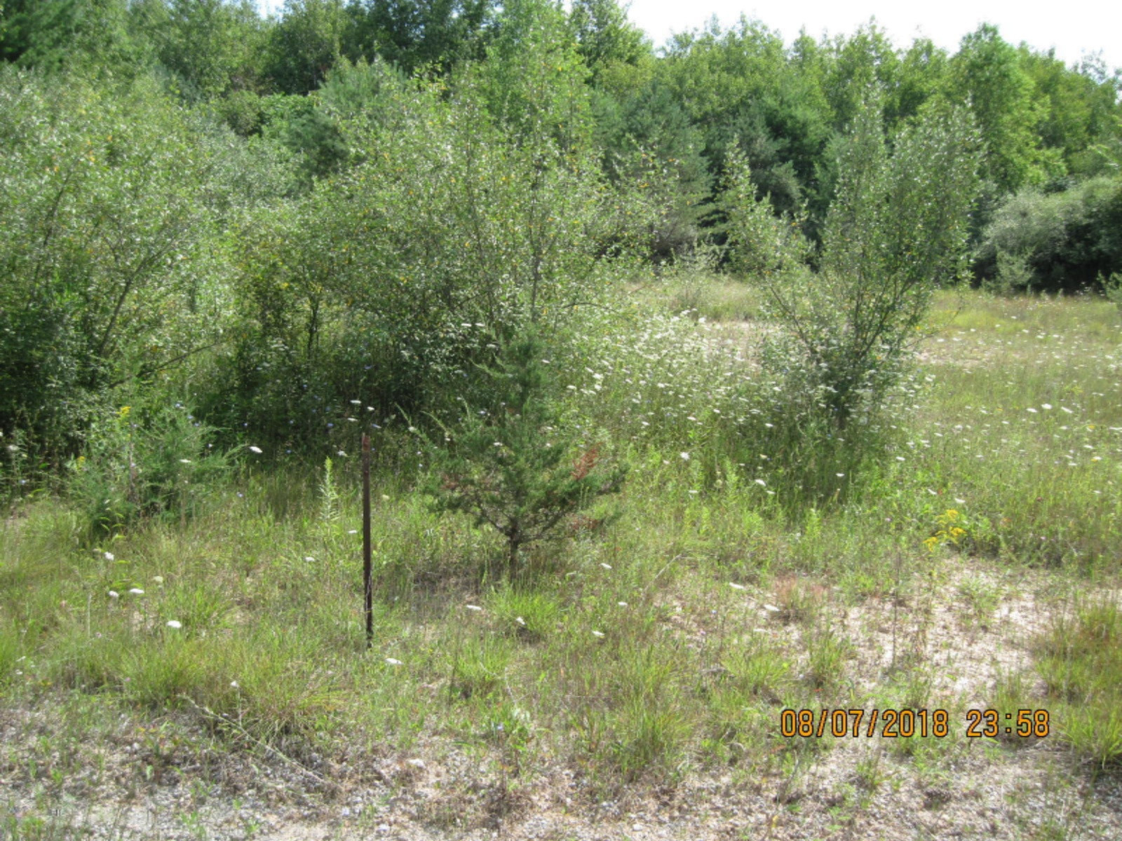 2170 Duck Lake Road Muskegon, MI 49445 - Photo 24 of 27 IMG_0022