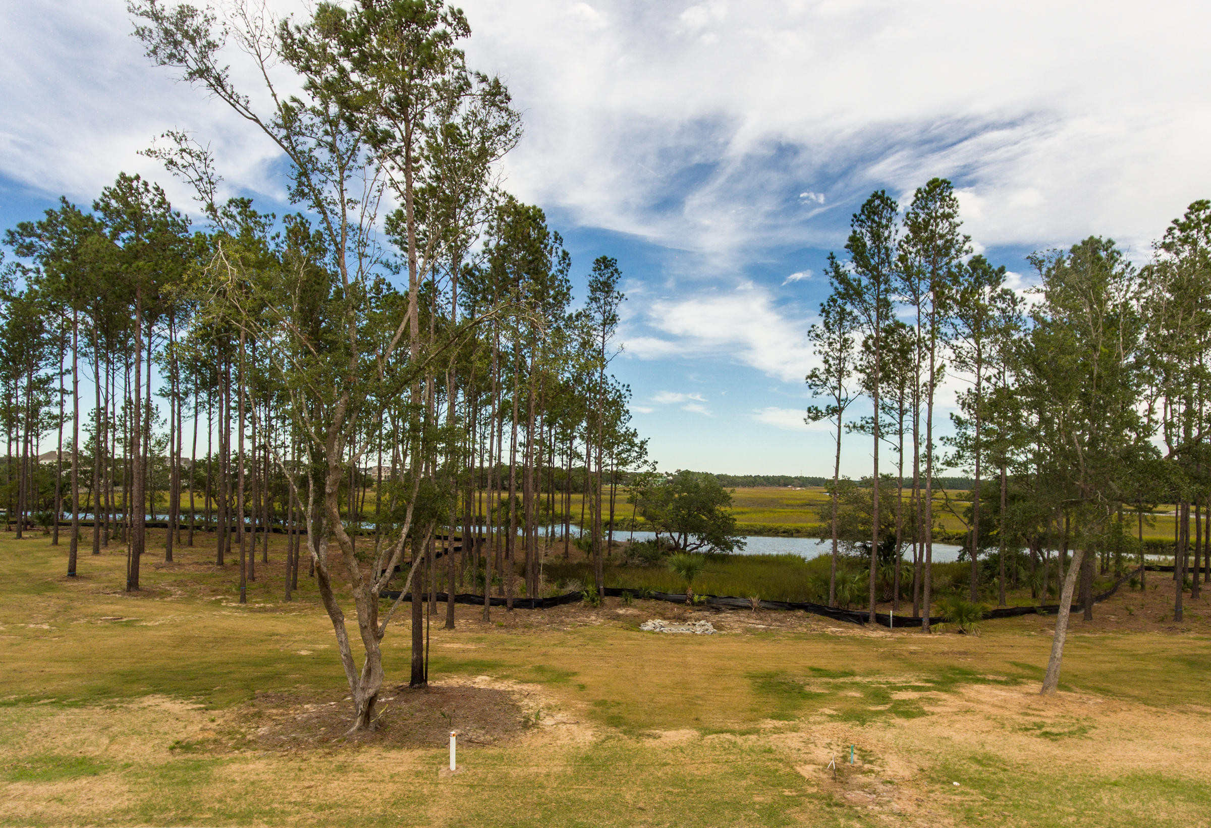 320 Bayley Road Daniel Island, SC 29492 - Photo 7 of 11 Captains Island photos (7)