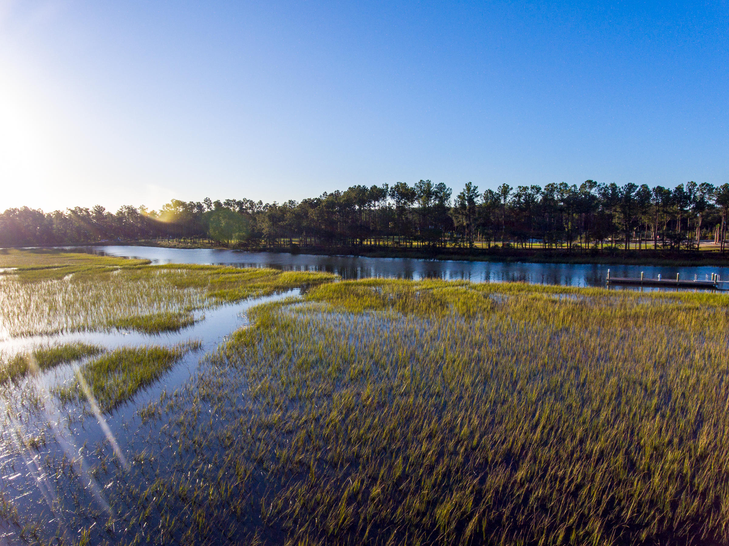 320 Bayley Road Daniel Island, SC 29492 - Photo 8 of 11 Captains Island photos (11)