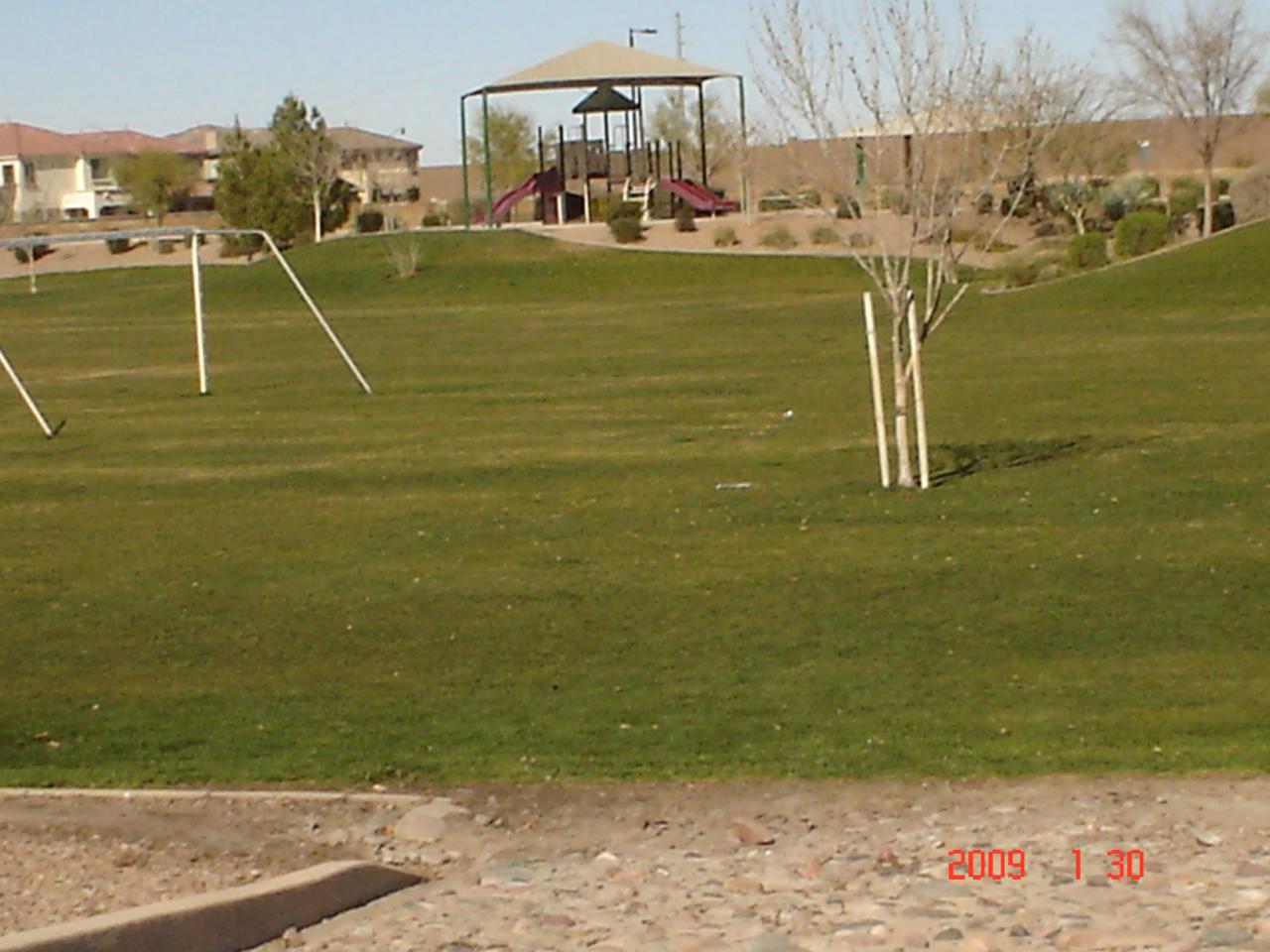 3673 East Sheffield Road Gilbert, AZ 85296 - Photo 3 of 4 3