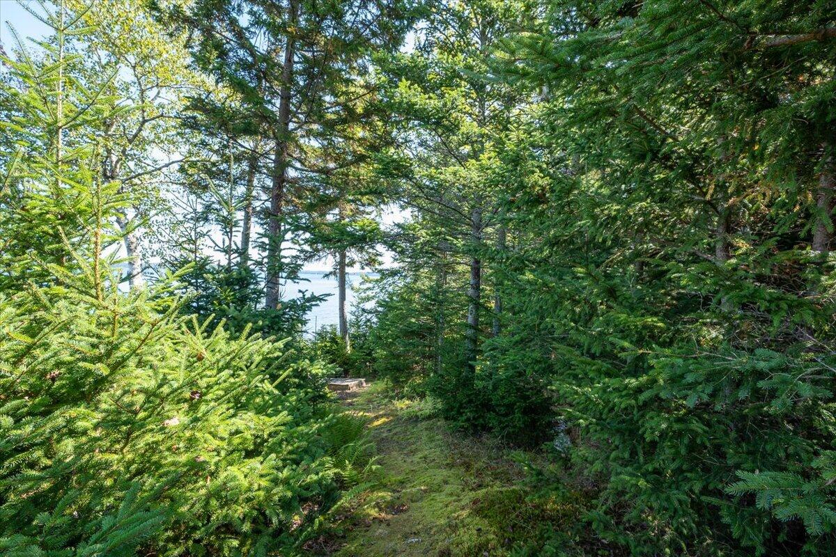 1591 Turtle Head Road Islesboro, ME 04848 - Photo 67 of 91 1591 Turtle Head Road, Islesboro