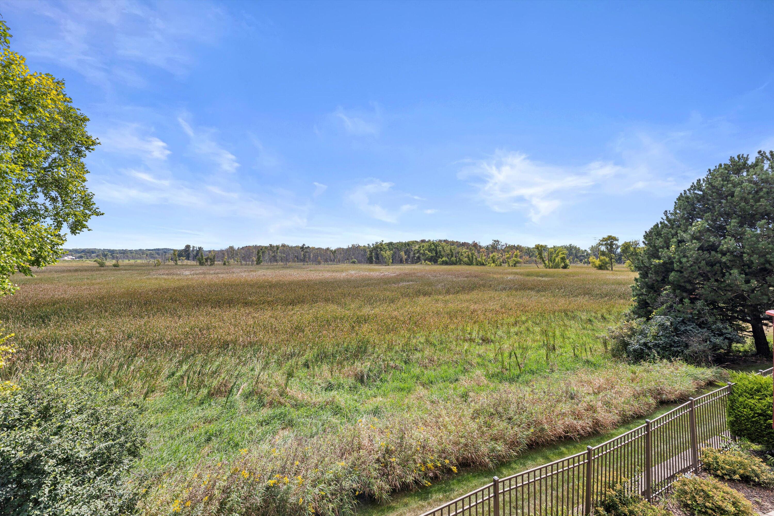19475 Summerhill Lane Brookfield, WI 53045 - Photo 73 of 82 Natural Lanscape