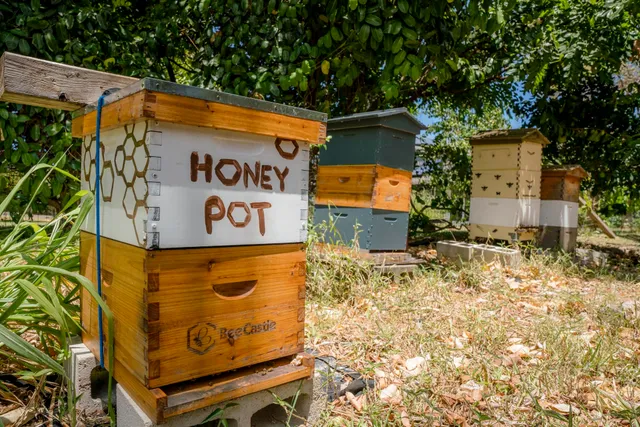 $2,795,000 | 1865 Kalia Way, Haiku, HI 96708