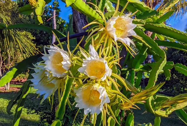 $2,795,000 | 1865 Kalia Way, Haiku, HI 96708