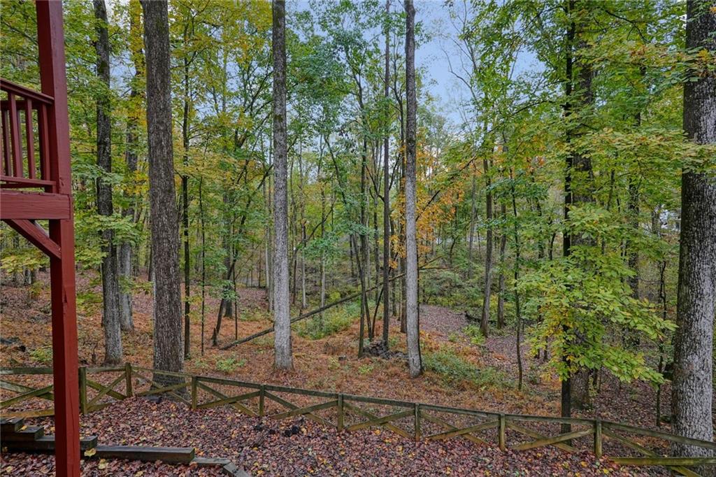 4555 Dennington Trace Cumming, GA 30028 - Photo 52 of 64 a view of a forest filled with trees
