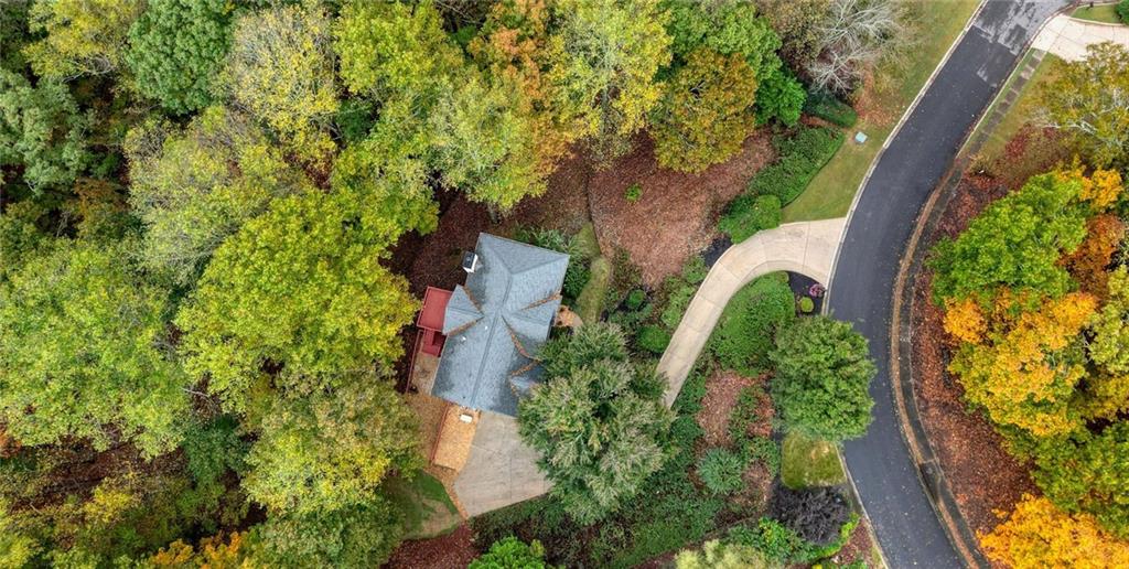 4555 Dennington Trace Cumming, GA 30028 - Photo 58 of 64 an aerial view of a house with a yard