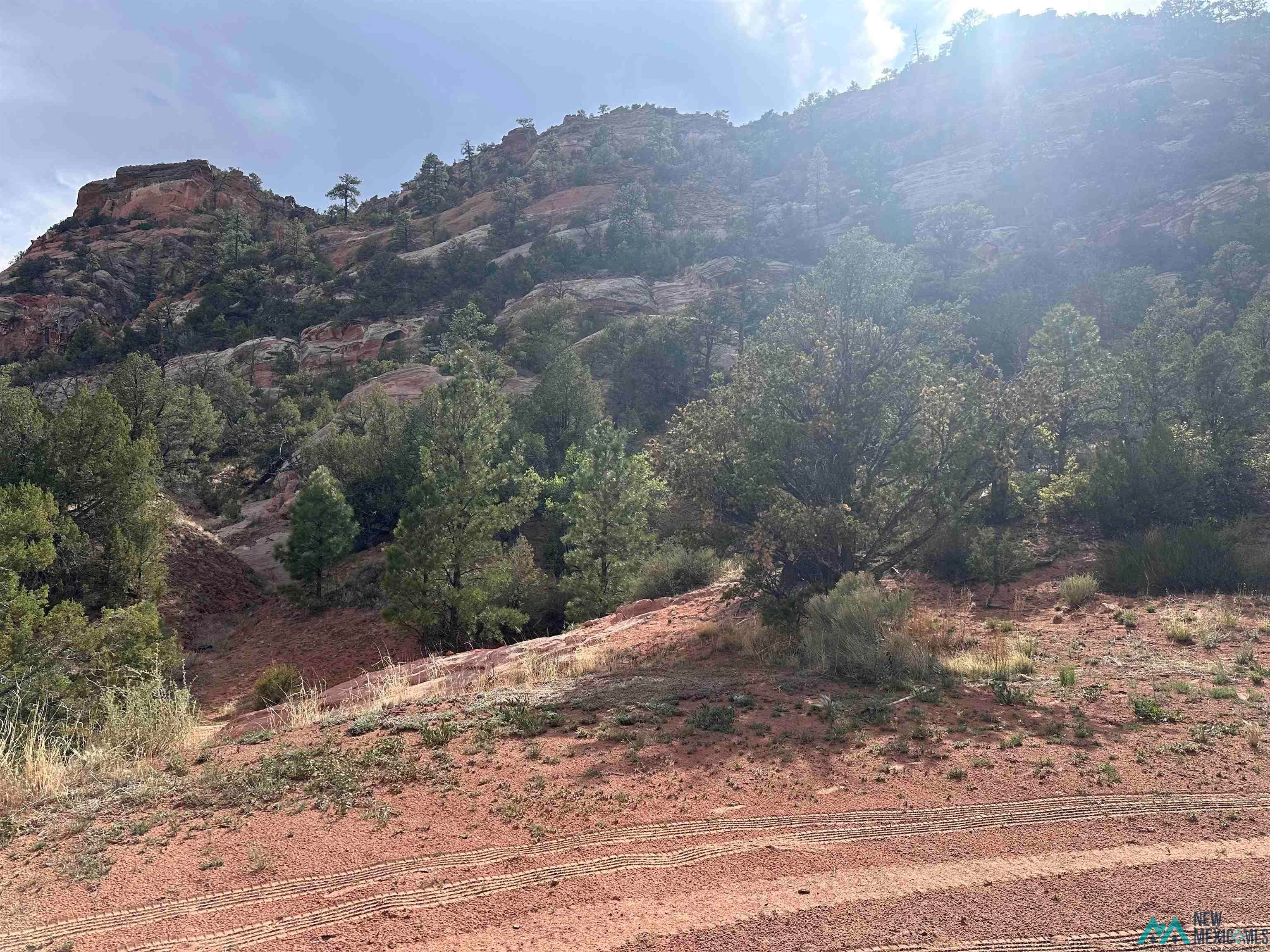 Tbd Tbd Road Ramah, NM 87321 - Photo 2 of 26 Mountain view