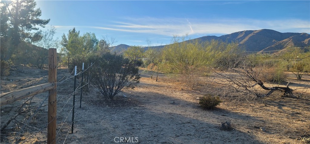 49833 Maccele Road Morongo Valley, CA 92256 - Photo 15 of 24 a view of a dry yard with mountains in the background