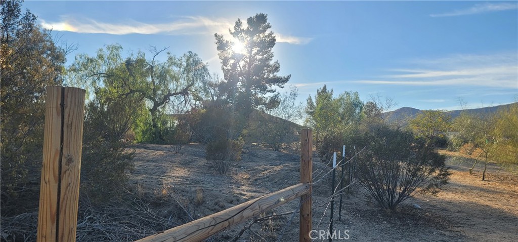 49833 Maccele Road Morongo Valley, CA 92256 - Photo 16 of 24 a view of a yard in front of a house