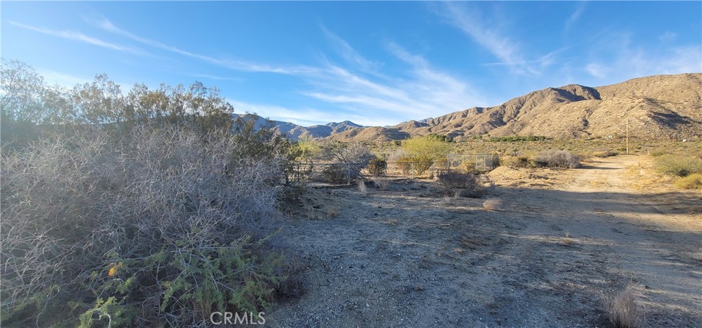 49833 Maccele Road Morongo Valley, CA 92256 - Photo 18 of 24 a view of a large yard with mountains in the background