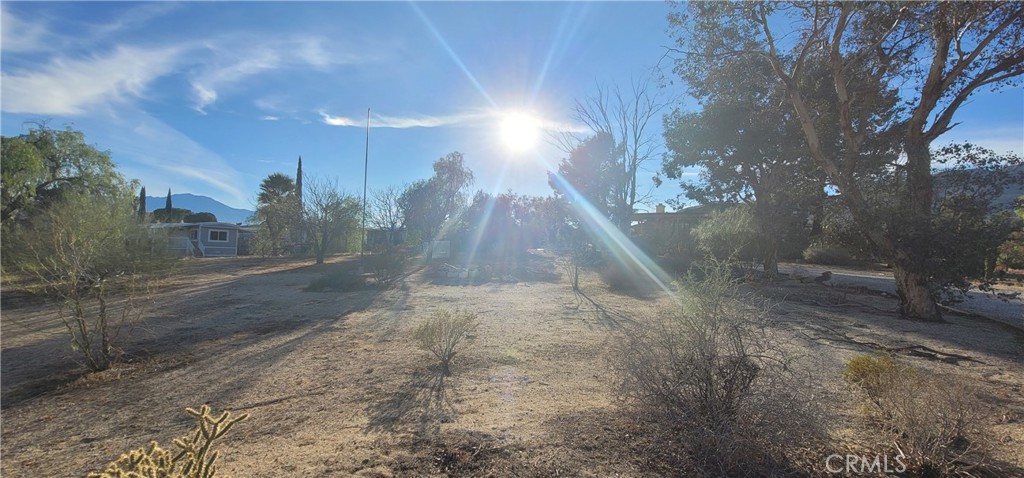 49833 Maccele Road Morongo Valley, CA 92256 - Photo 19 of 24 a view of a yard