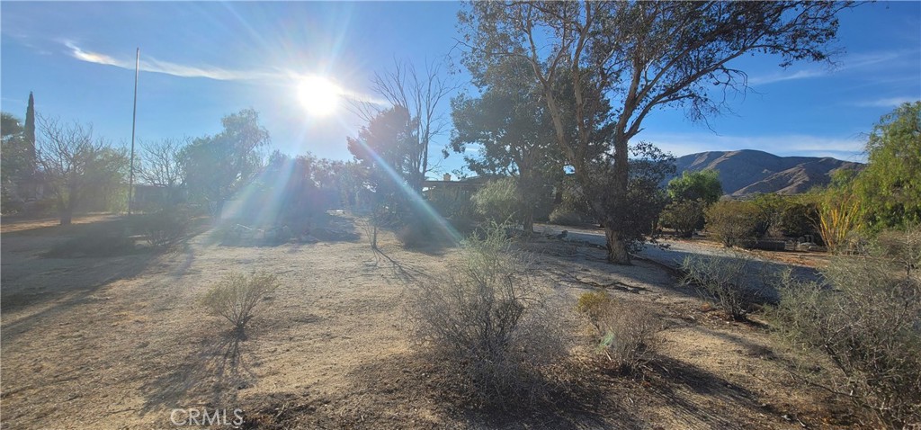 49833 Maccele Road Morongo Valley, CA 92256 - Photo 20 of 24 a view of outdoor space and yard