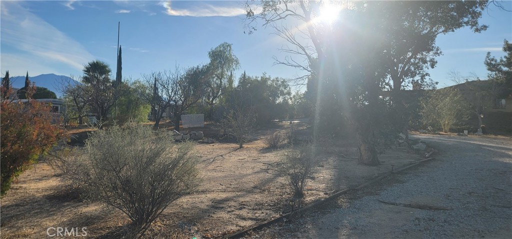 49833 Maccele Road Morongo Valley, CA 92256 - Photo 22 of 24