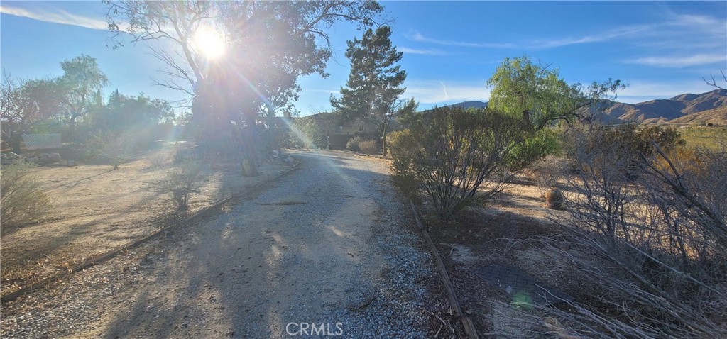 49833 Maccele Road Morongo Valley, CA 92256 - Photo 23 of 24 a view of a small yard