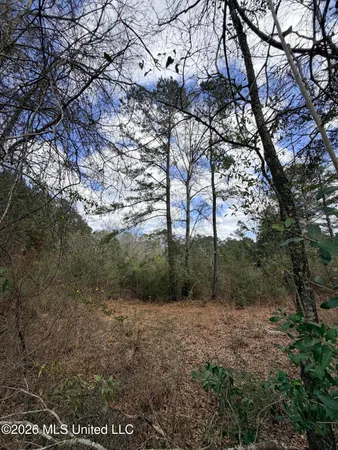 $20,000 | Tbd Joel Lang Road, McComb, MS 39648