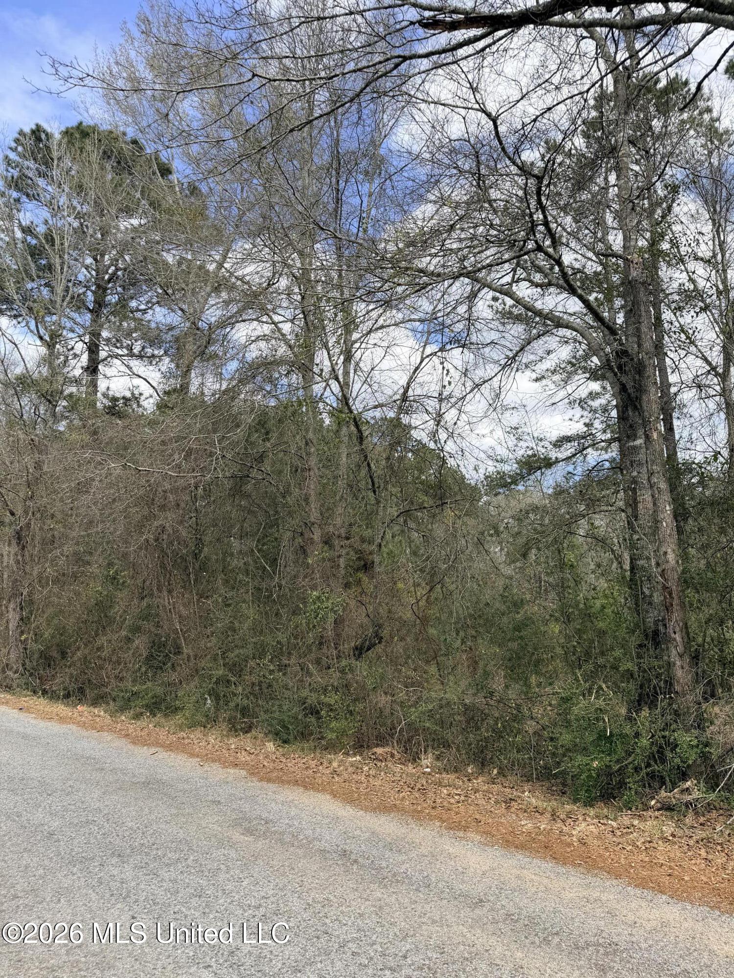 Tbd Joel Lang Road McComb, MS 39648 - Photo 2 of 3 IMG_4557