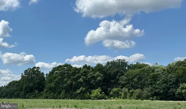 a view of a flower garden in a backyard
