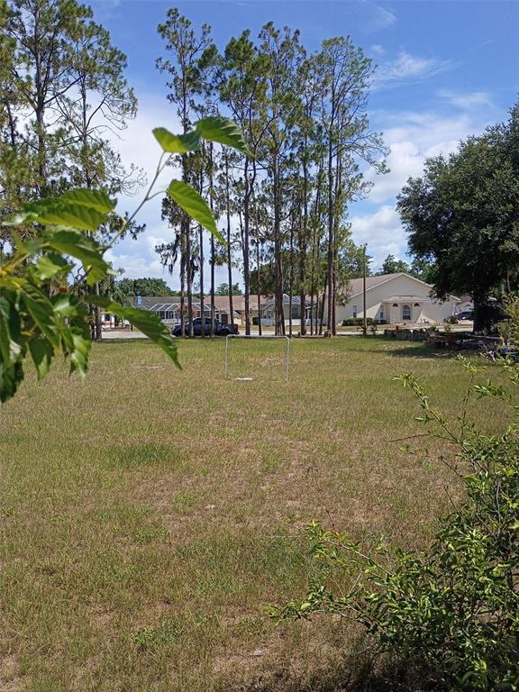 5142 La Plata Drive New Port Richey, FL 34655 - Photo 2 of 6